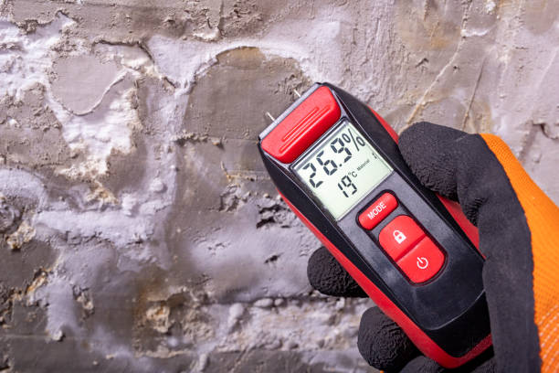 Best Professional Mold Removal  in Glencoe, MN