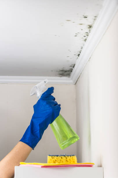 Water Damage Restoration in Glencoe, MN